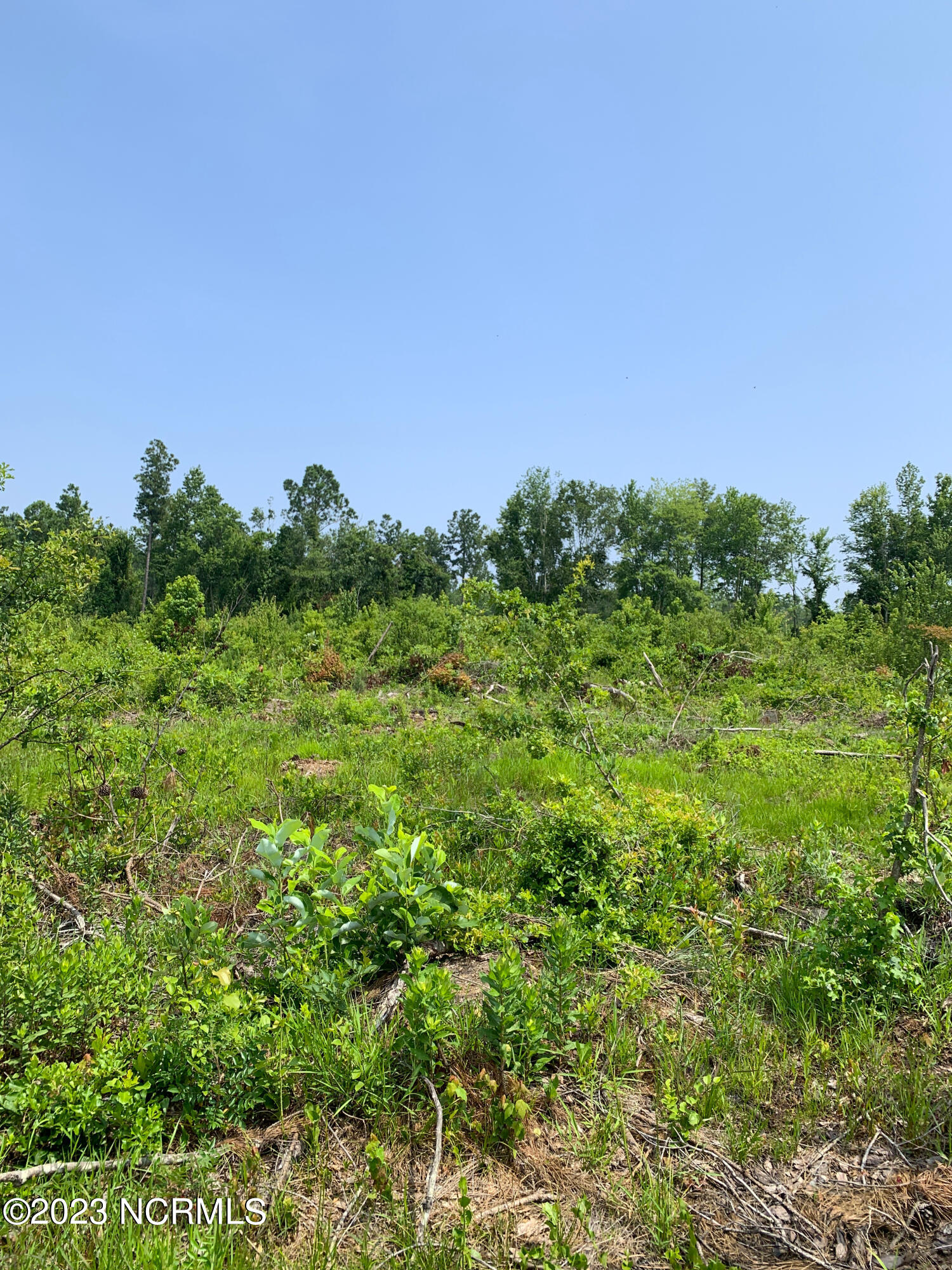 0 Joe Williams Road Kinston, NC 28501 - Photo 12 of 25 12