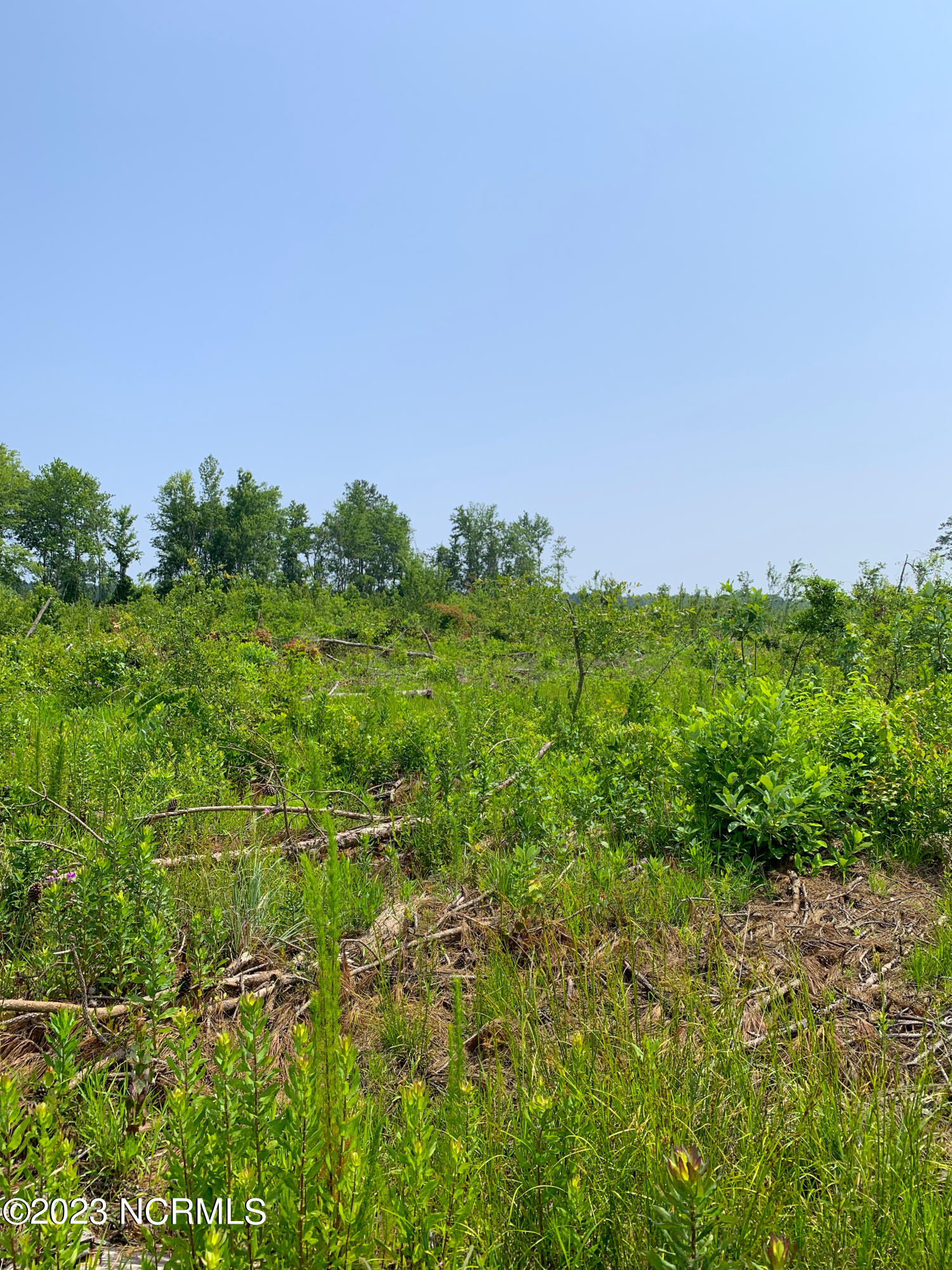 0 Joe Williams Road Kinston, NC 28501 - Photo 13 of 25 13