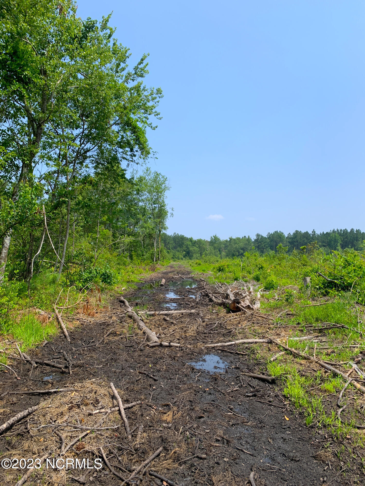 0 Joe Williams Road Kinston, NC 28501 - Photo 15 of 25 15