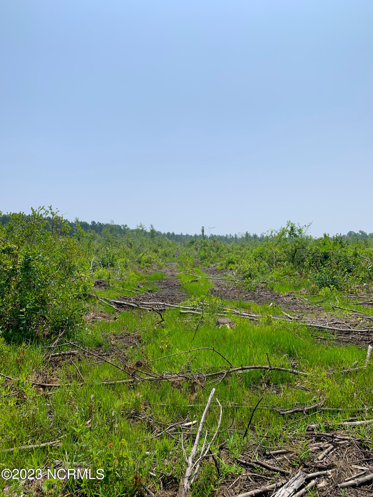 0 Joe Williams Road Kinston, NC 28501 - Photo 16 of 25 16