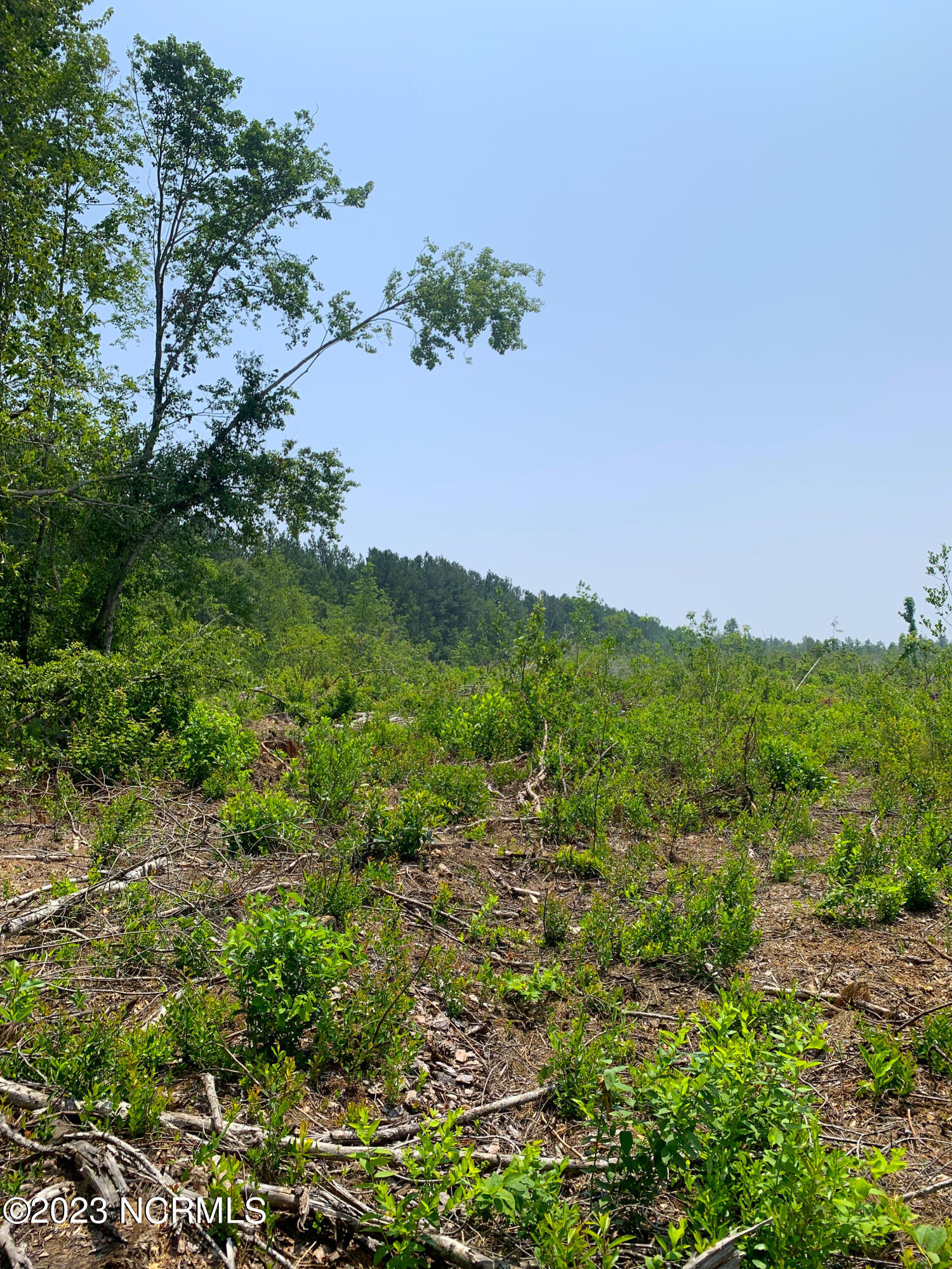 0 Joe Williams Road Kinston, NC 28501 - Photo 17 of 25 17