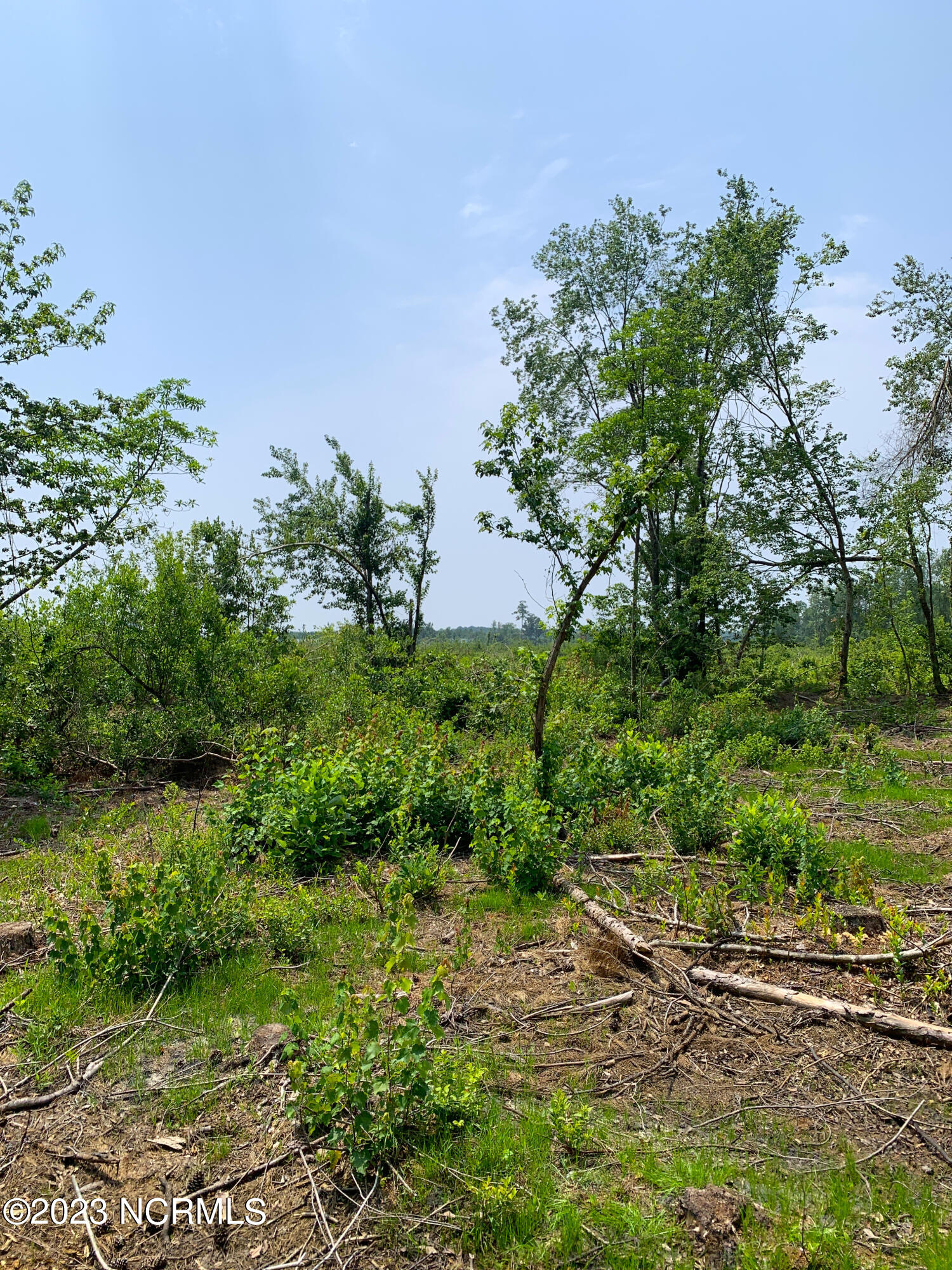 0 Joe Williams Road Kinston, NC 28501 - Photo 18 of 25 18