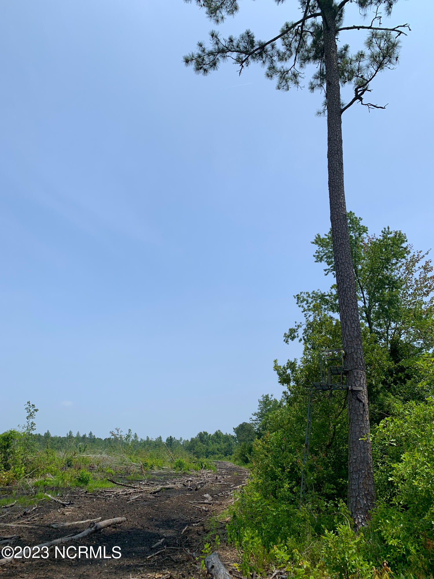 0 Joe Williams Road Kinston, NC 28501 - Photo 19 of 25 19