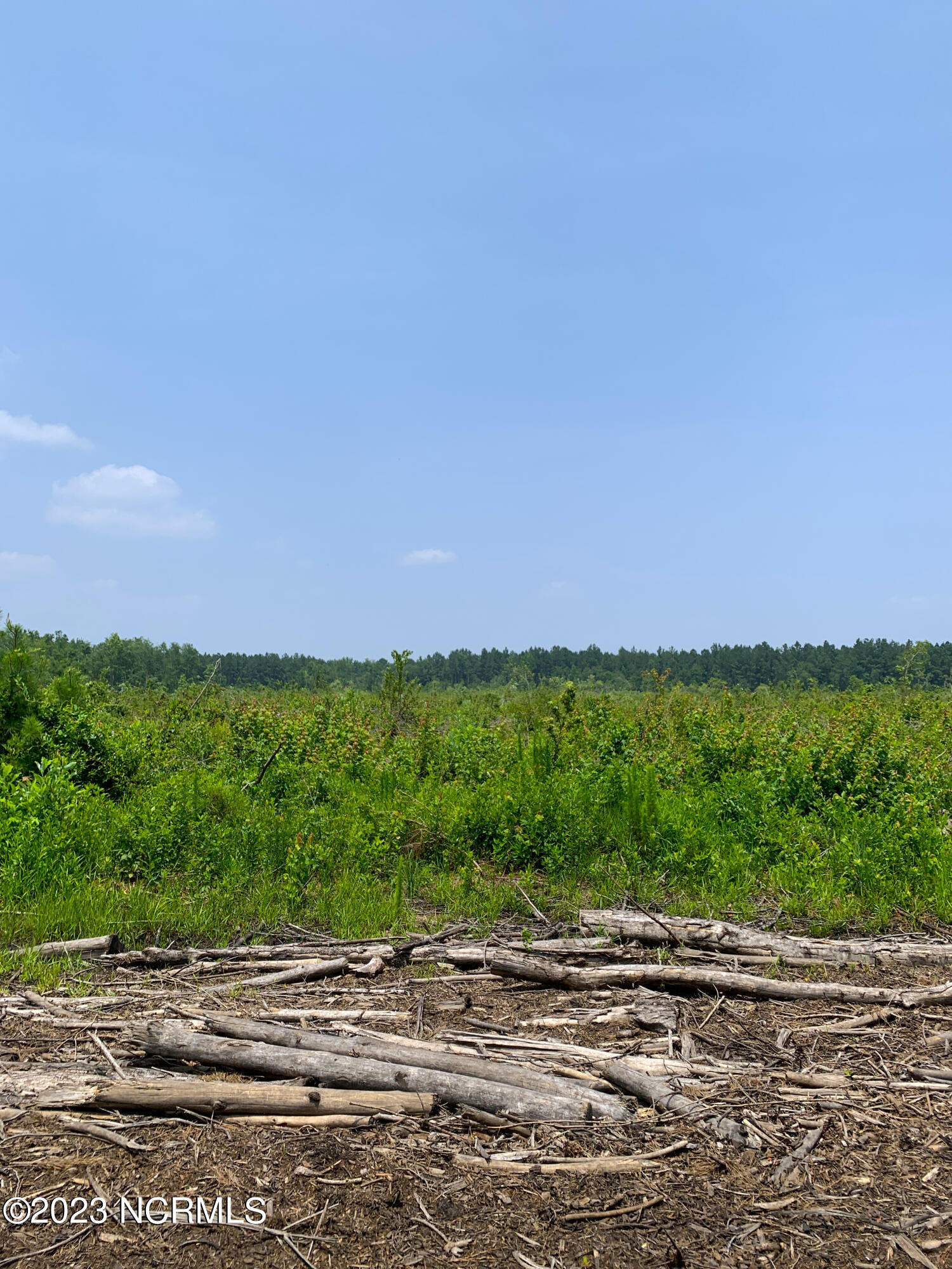 0 Joe Williams Road Kinston, NC 28501 - Photo 20 of 25 20