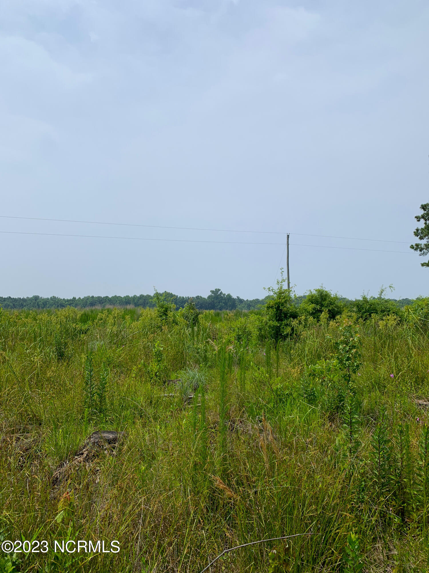 0 Joe Williams Road Kinston, NC 28501 - Photo 2 of 25 2
