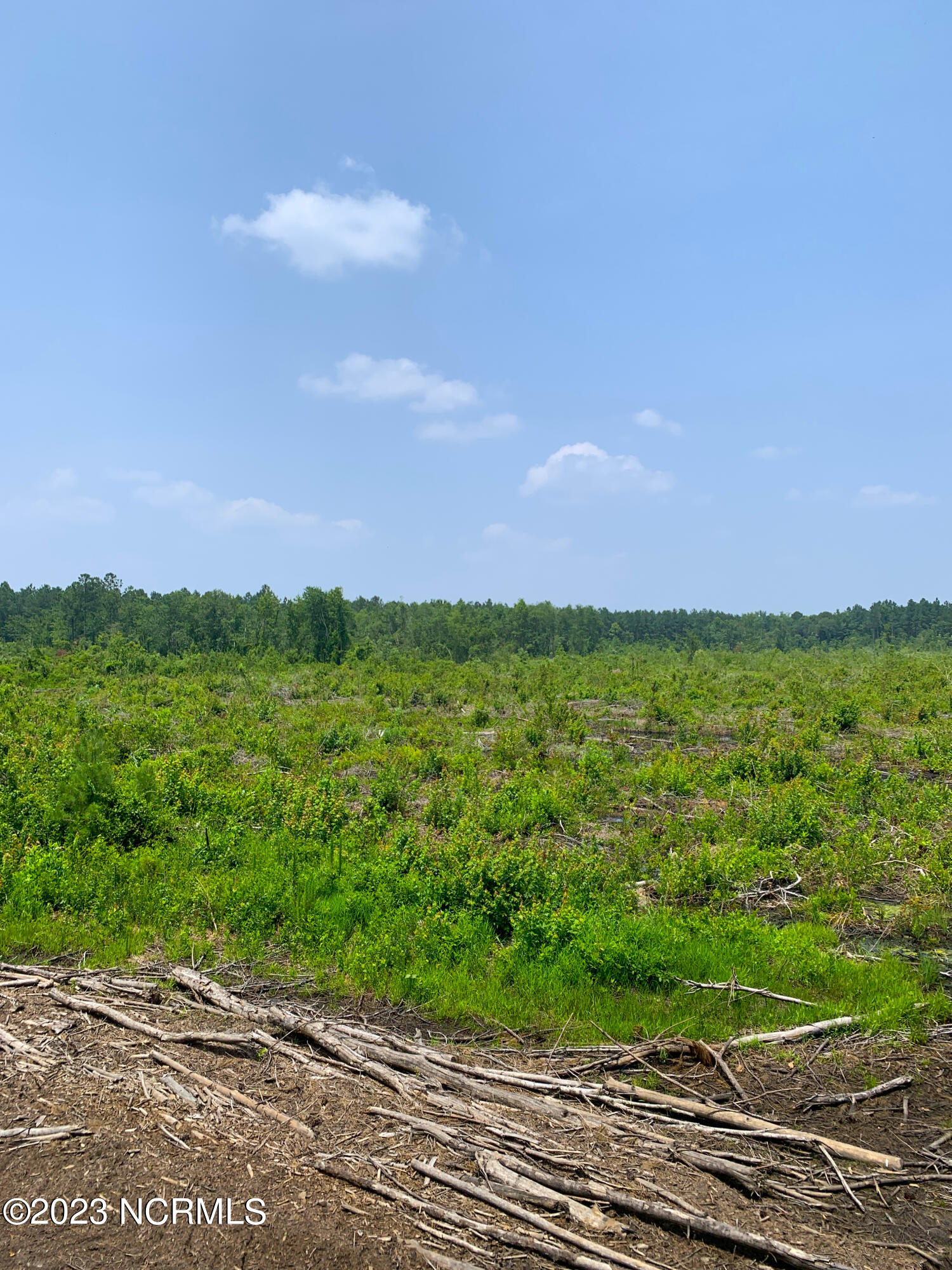 0 Joe Williams Road Kinston, NC 28501 - Photo 23 of 25 23