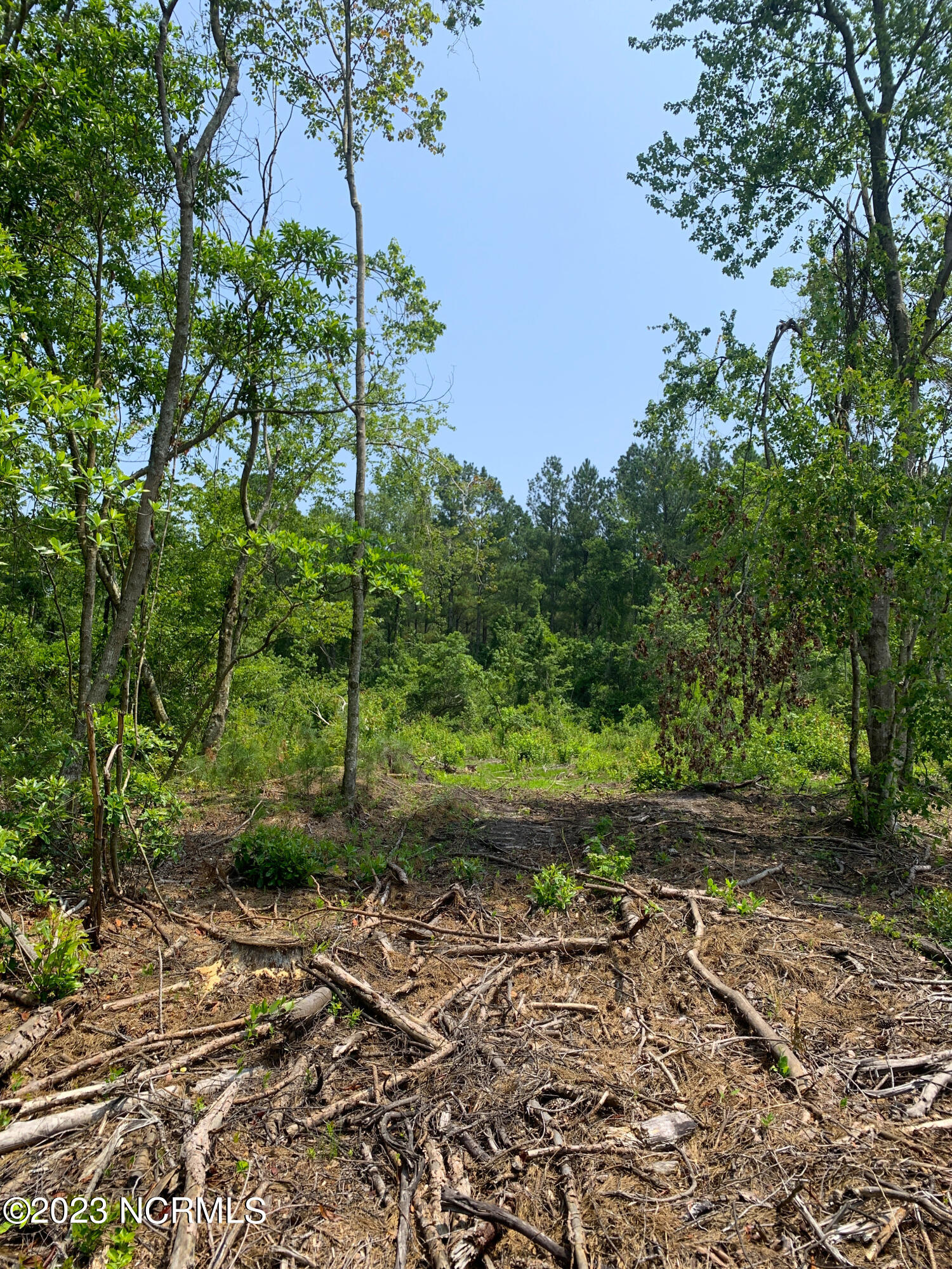 0 Joe Williams Road Kinston, NC 28501 - Photo 5 of 25 5