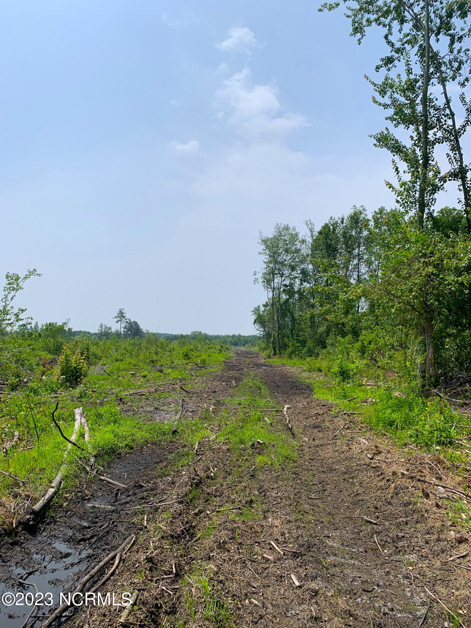 0 Joe Williams Road Kinston, NC 28501 - Photo 6 of 25 6