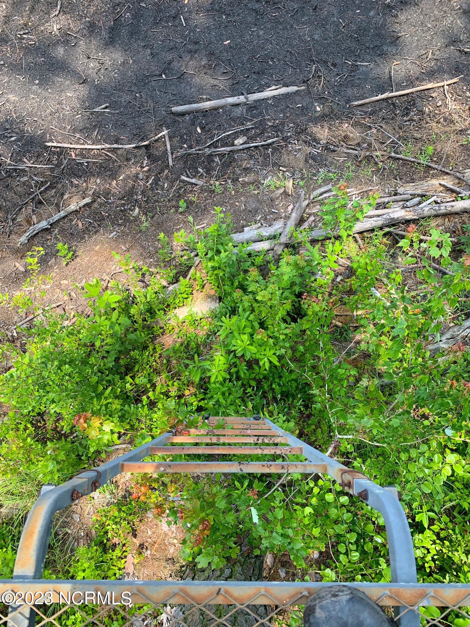 0 Joe Williams Road Kinston, NC 28501 - Photo 7 of 25 7