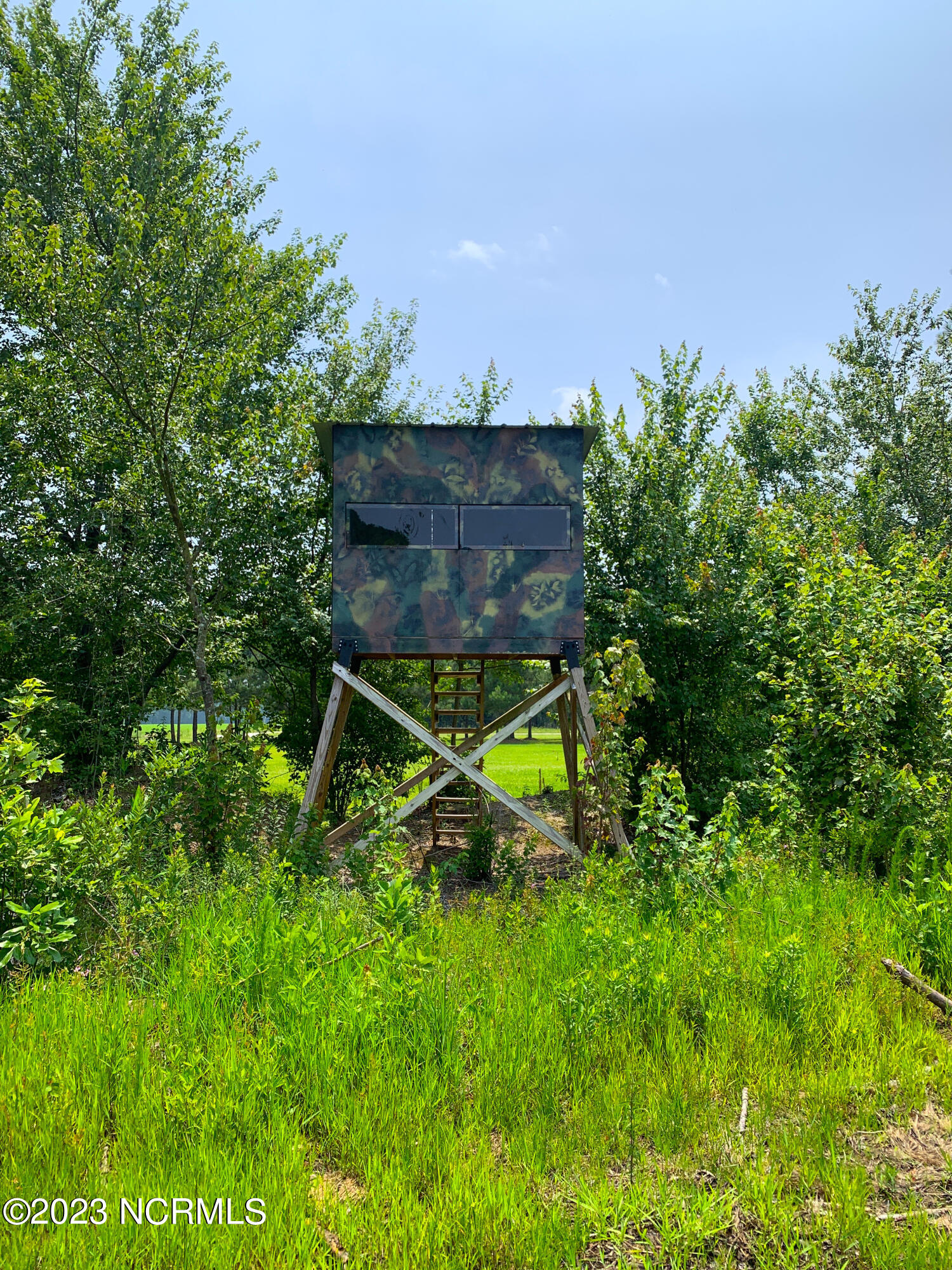 0 Joe Williams Road Kinston, NC 28501 - Photo 8 of 25 8