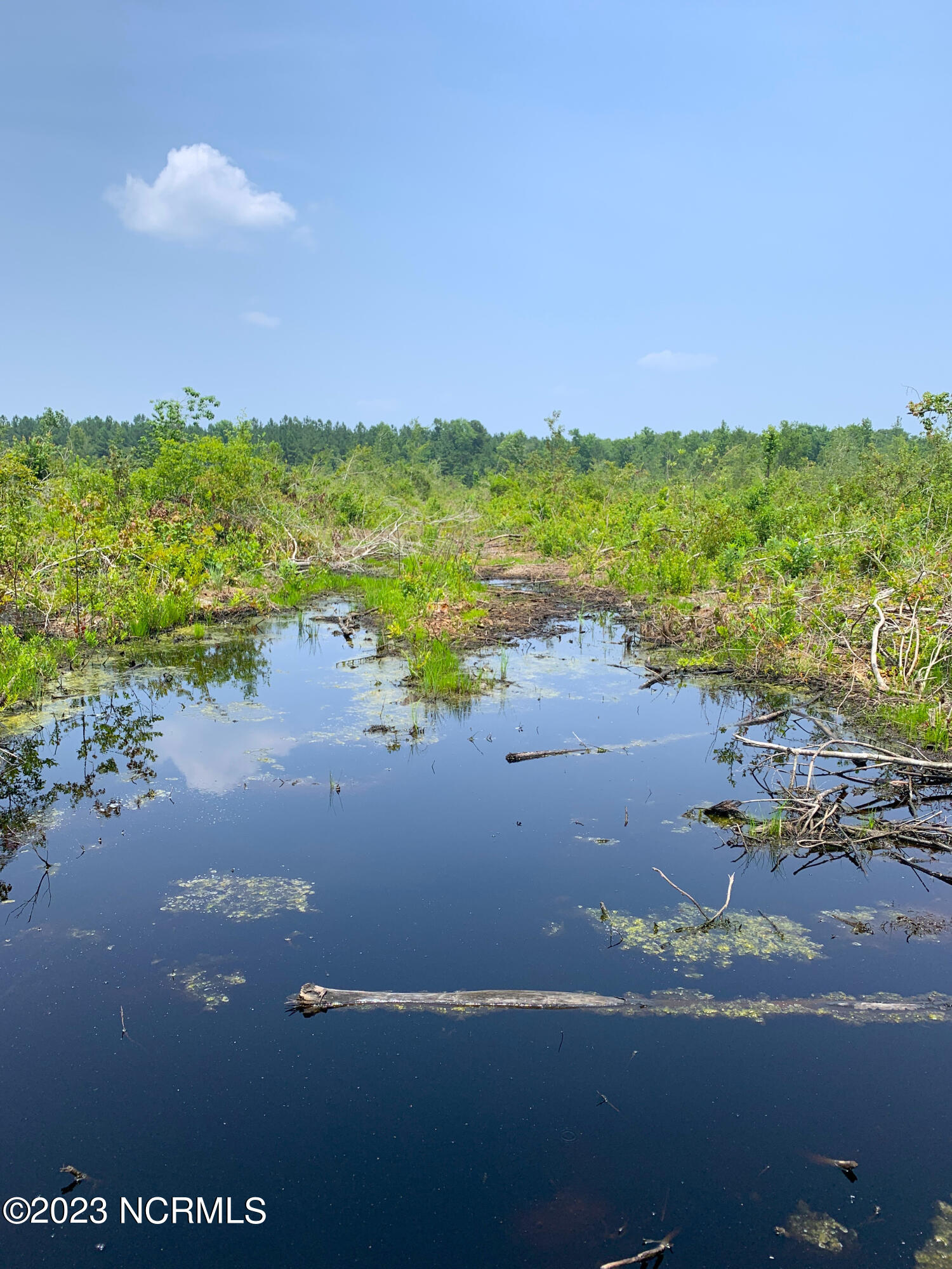0 Joe Williams Road Kinston, NC 28501 - Photo 10 of 25 10