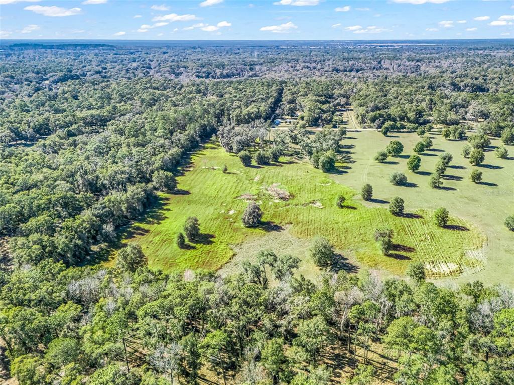 Tbd Northwest 127th Court Ocala, FL 34482 - Photo 12 of 17 a view of a garden with a building