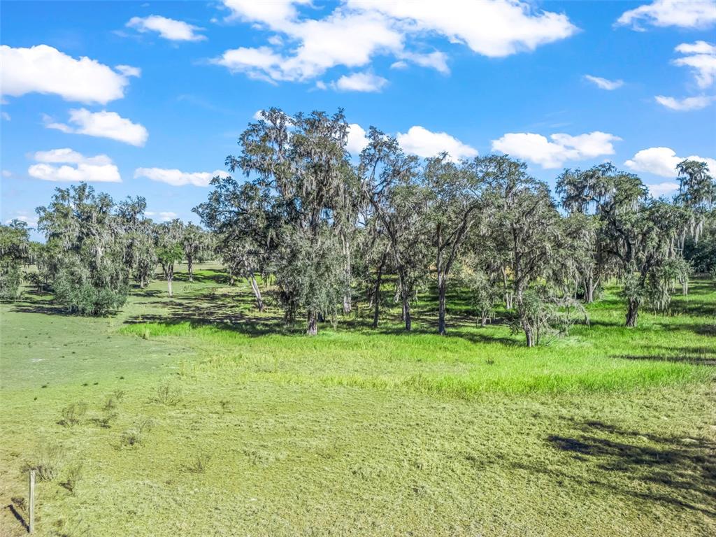 Tbd Northwest 127th Court Ocala, FL 34482 - Photo 16 of 17 a view of a green yard