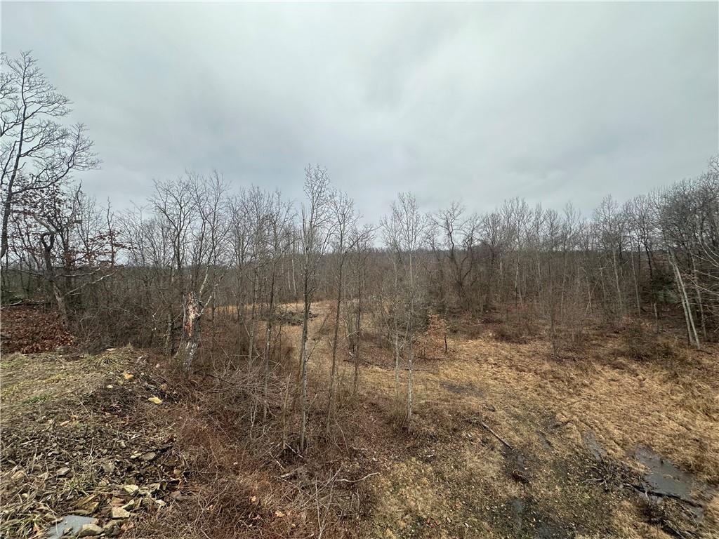 390 Snuff Ridge Road New Salem, PA 15468 - Photo 6 of 18