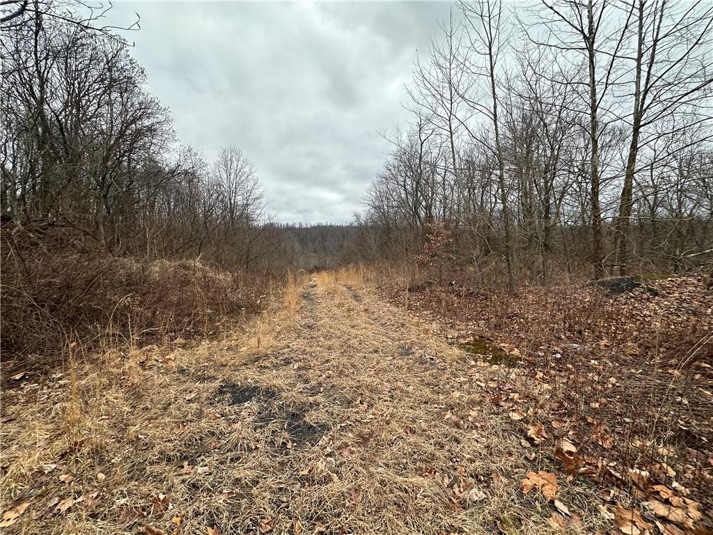 390 Snuff Ridge Road New Salem, PA 15468 - Photo 8 of 18