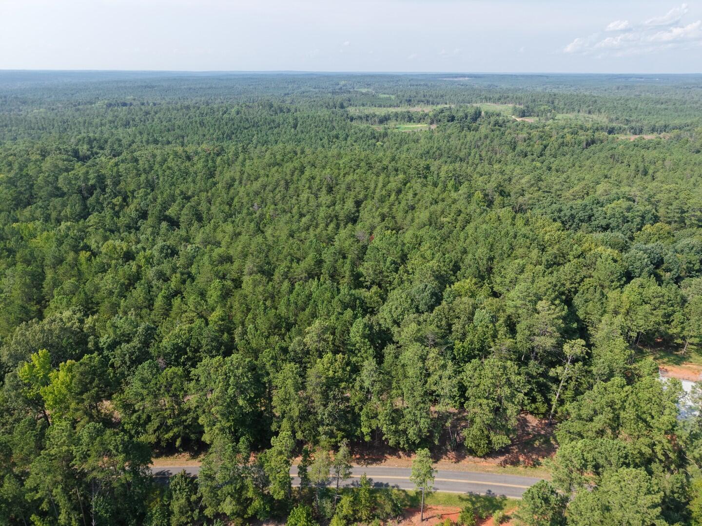 3096 State Rd S-20-33, Unit PARCEL 1 Blair, SC 29015 - Photo 19 of 32 DJI_20260811164832_0225_D (Large)