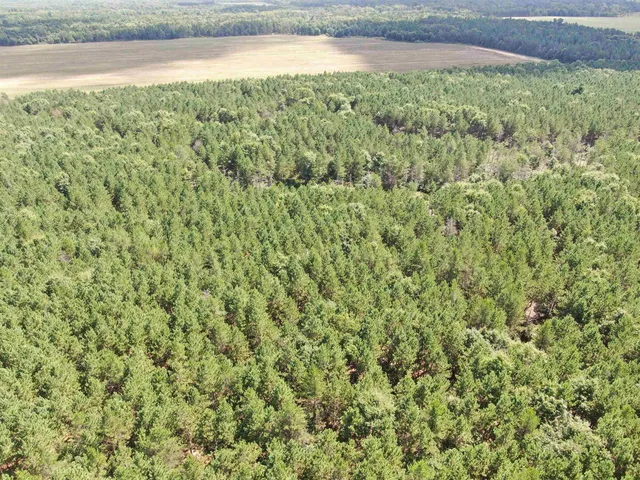 $400,000 | 80-ac 14th Court, Arkdale, WI 54613