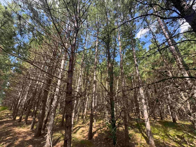 $400,000 | 80-ac 14th Court, Arkdale, WI 54613