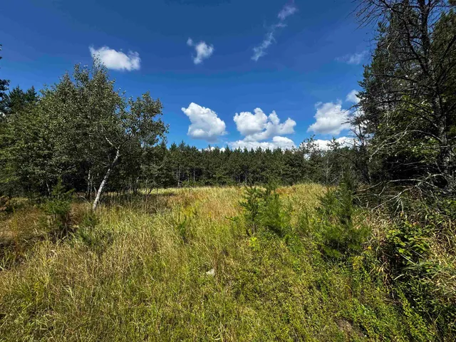 $400,000 | 80-ac 14th Court, Arkdale, WI 54613