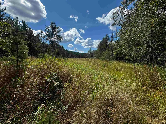 $400,000 | 80-ac 14th Court, Arkdale, WI 54613