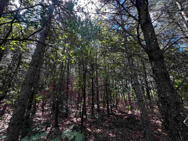 $400,000 | 80-ac 14th Court, Arkdale, WI 54613