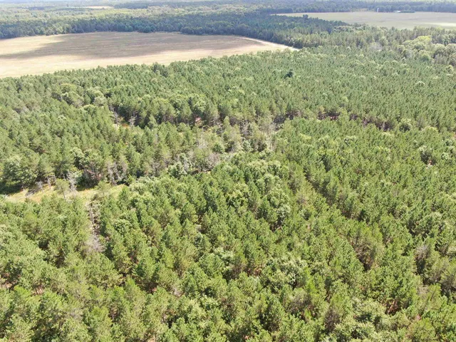 $400,000 | 80-ac 14th Court, Arkdale, WI 54613