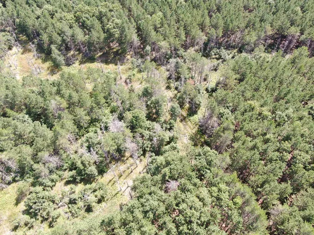 $400,000 | 80-ac 14th Court, Arkdale, WI 54613