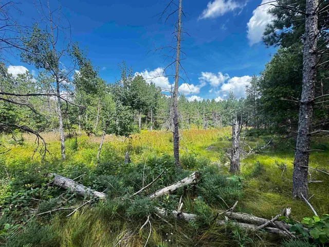 $400,000 | 80-ac 14th Court, Arkdale, WI 54613