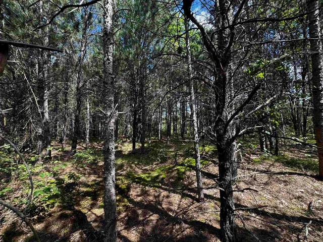 $400,000 | 80-ac 14th Court, Arkdale, WI 54613