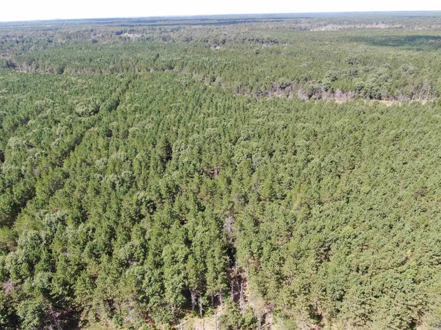 $400,000 | 80-ac 14th Court, Arkdale, WI 54613