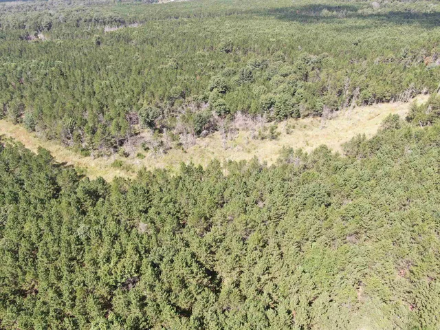 $400,000 | 80-ac 14th Court, Arkdale, WI 54613