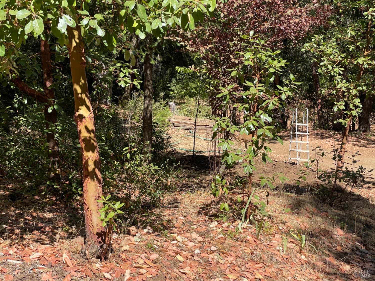 3490 Laytonville Dos Rios Road Laytonville, CA 95454 - Photo 8 of 38