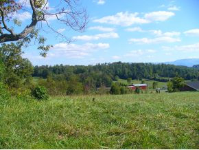 22 East Ridges Court, Unit 23 Chuckey, TN 37641 - Photo 6 of 6 Photo 6