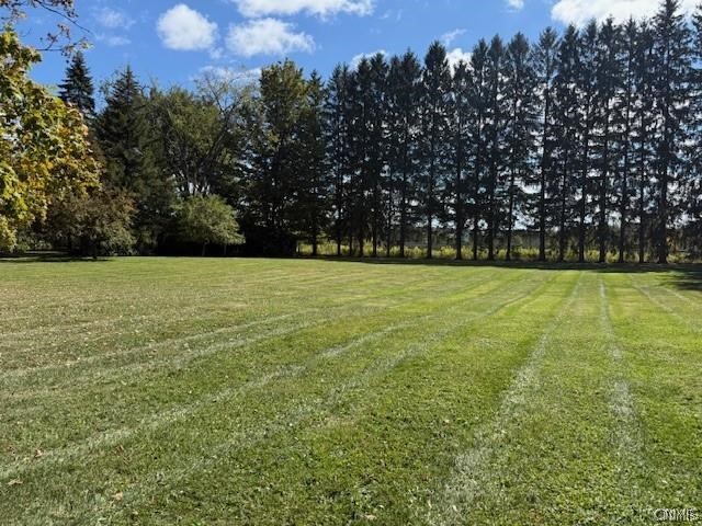 Mclean Road Cortland, NY 13045 - Photo 2 of 8