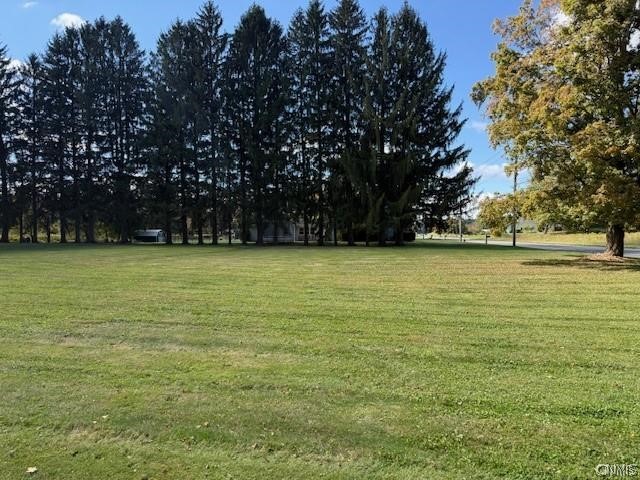 Mclean Road Cortland, NY 13045 - Photo 5 of 8