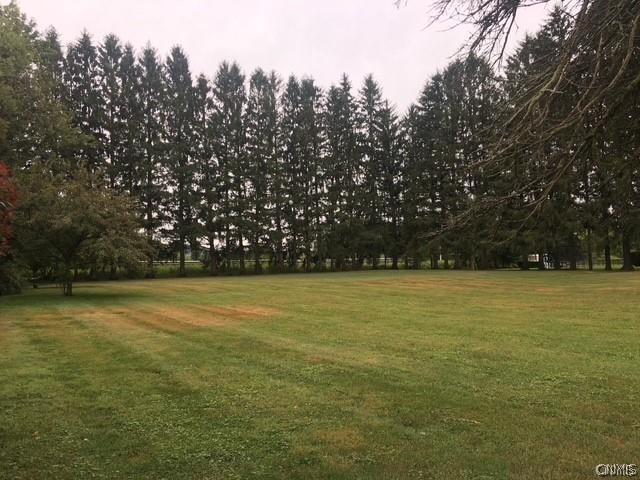 Mclean Road Cortland, NY 13045 - Photo 6 of 8