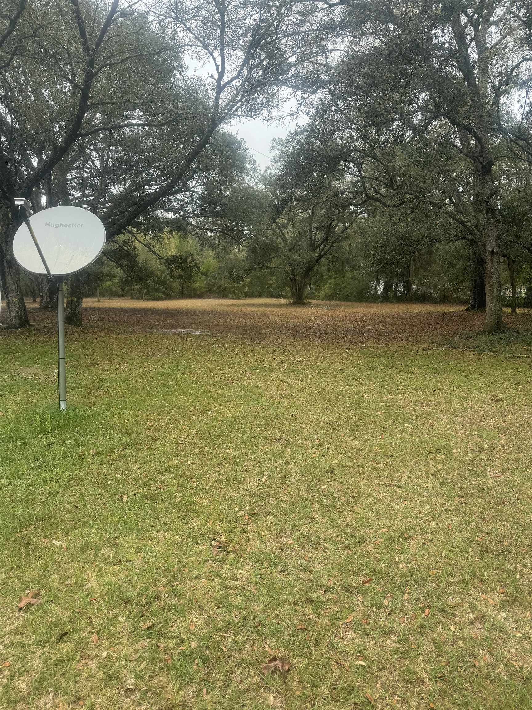 2606 Oak Ridge Road West Tallahassee, FL 32305 - Photo 11 of 14
