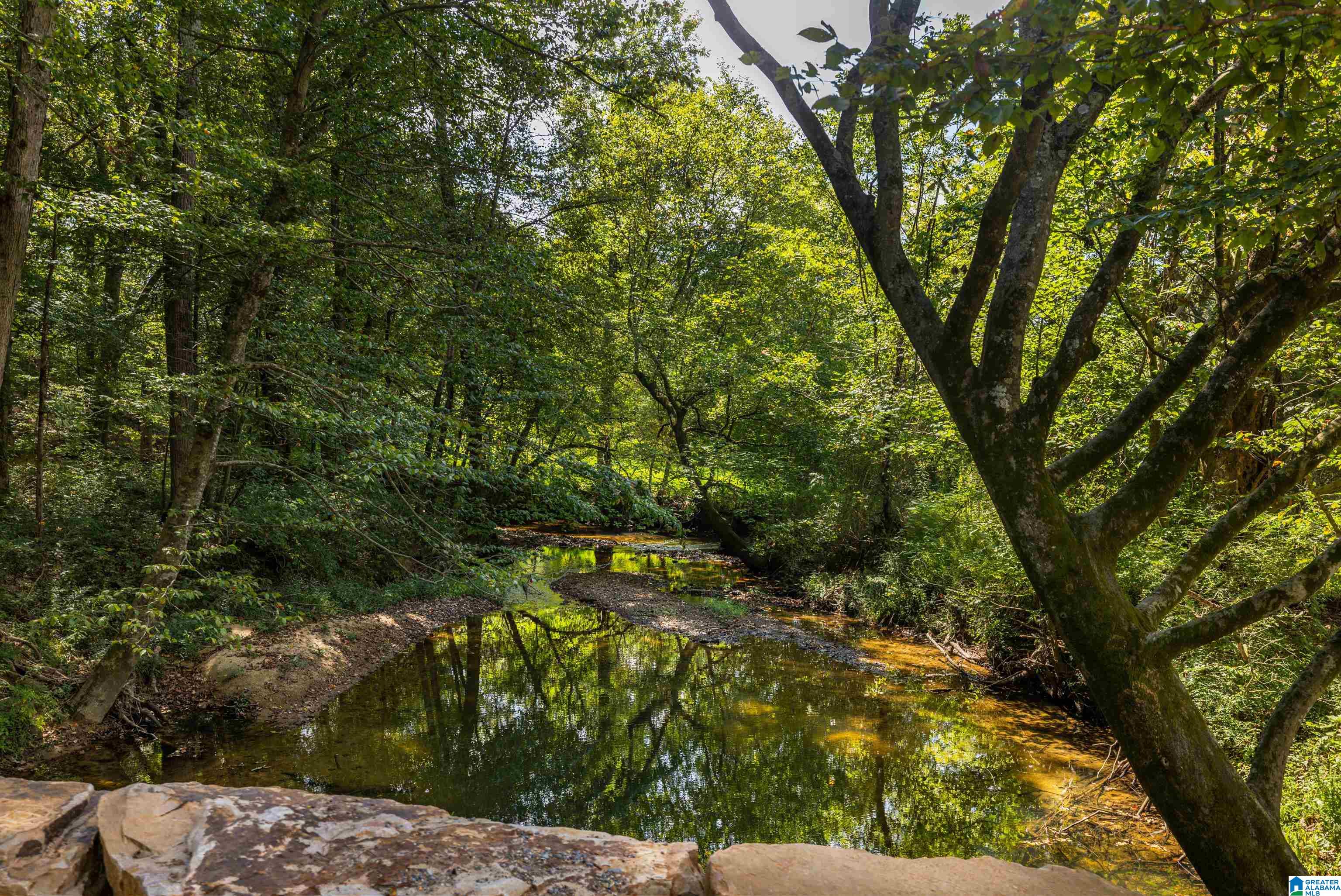 3124 County Road 39 Oneonta, AL 35121 - Photo 87 of 98