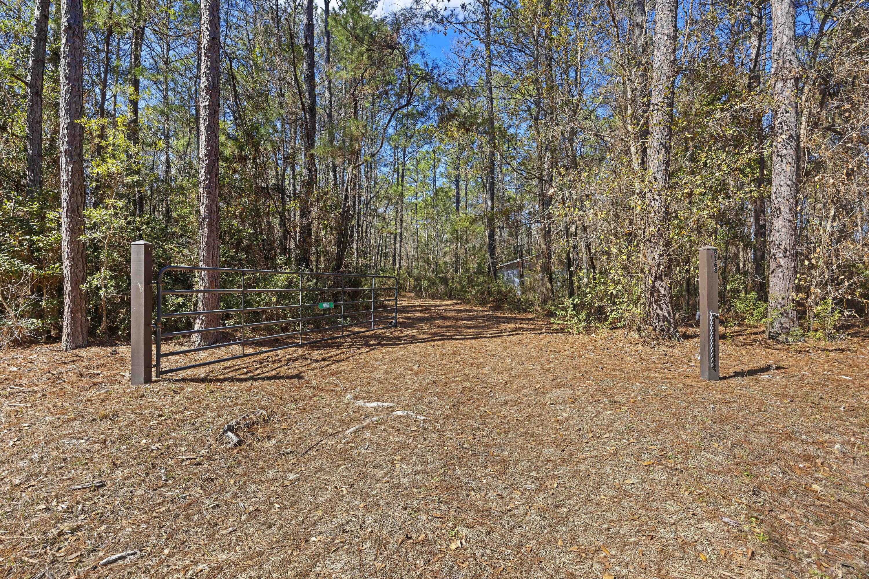 9168 Old Georgetown Road McClellanville, SC 29458 - Photo 44 of 45 243A0289