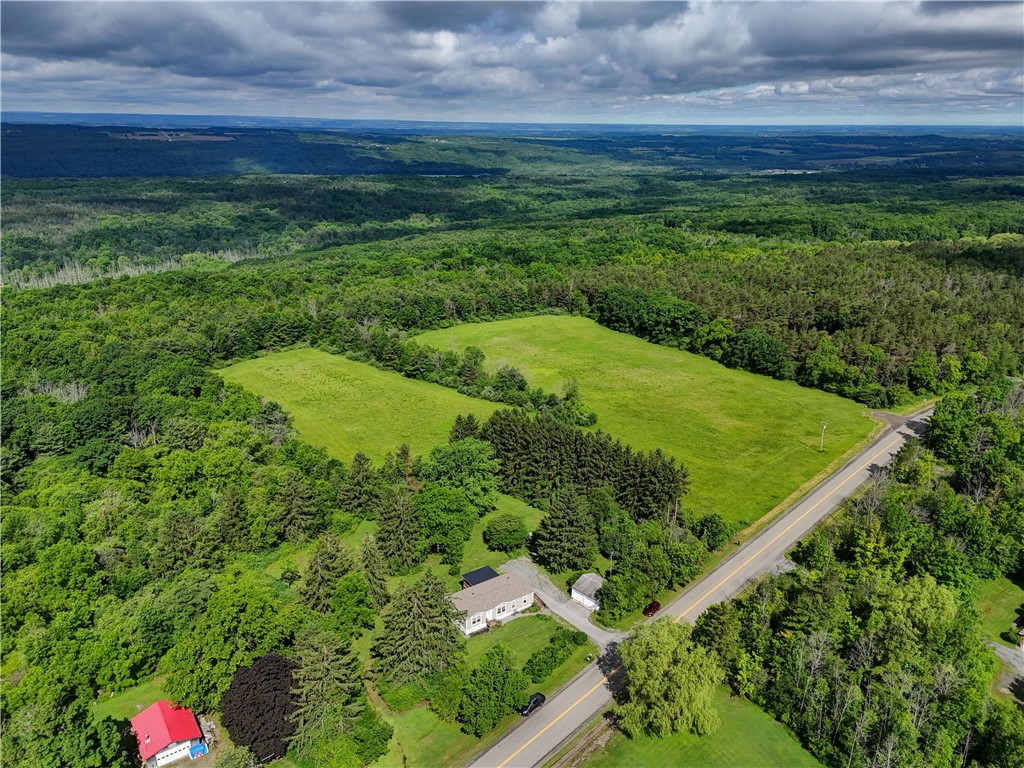 5420 Middle Road North Canadice, NY 14466 - Photo 14 of 47