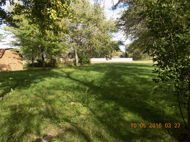 3707 Ronald Road Crete, IL 60417 - Photo 3 of 18