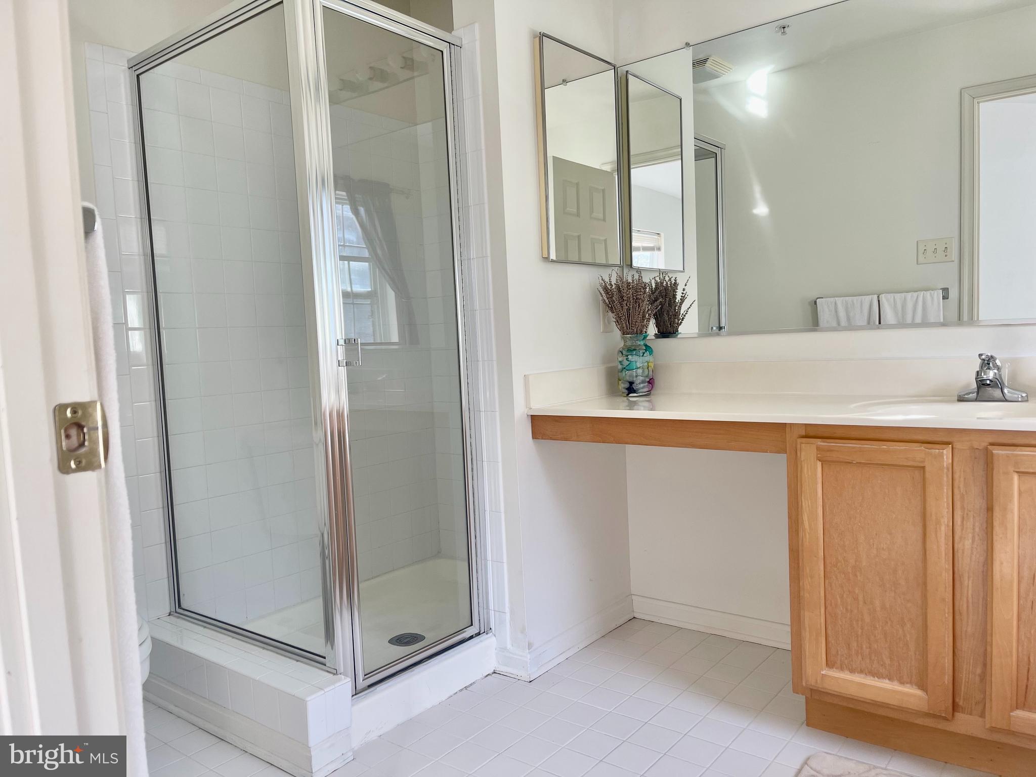 7204 Calm Sunset Columbia, MD 21046 - Photo 31 of 51 Master Bath 2