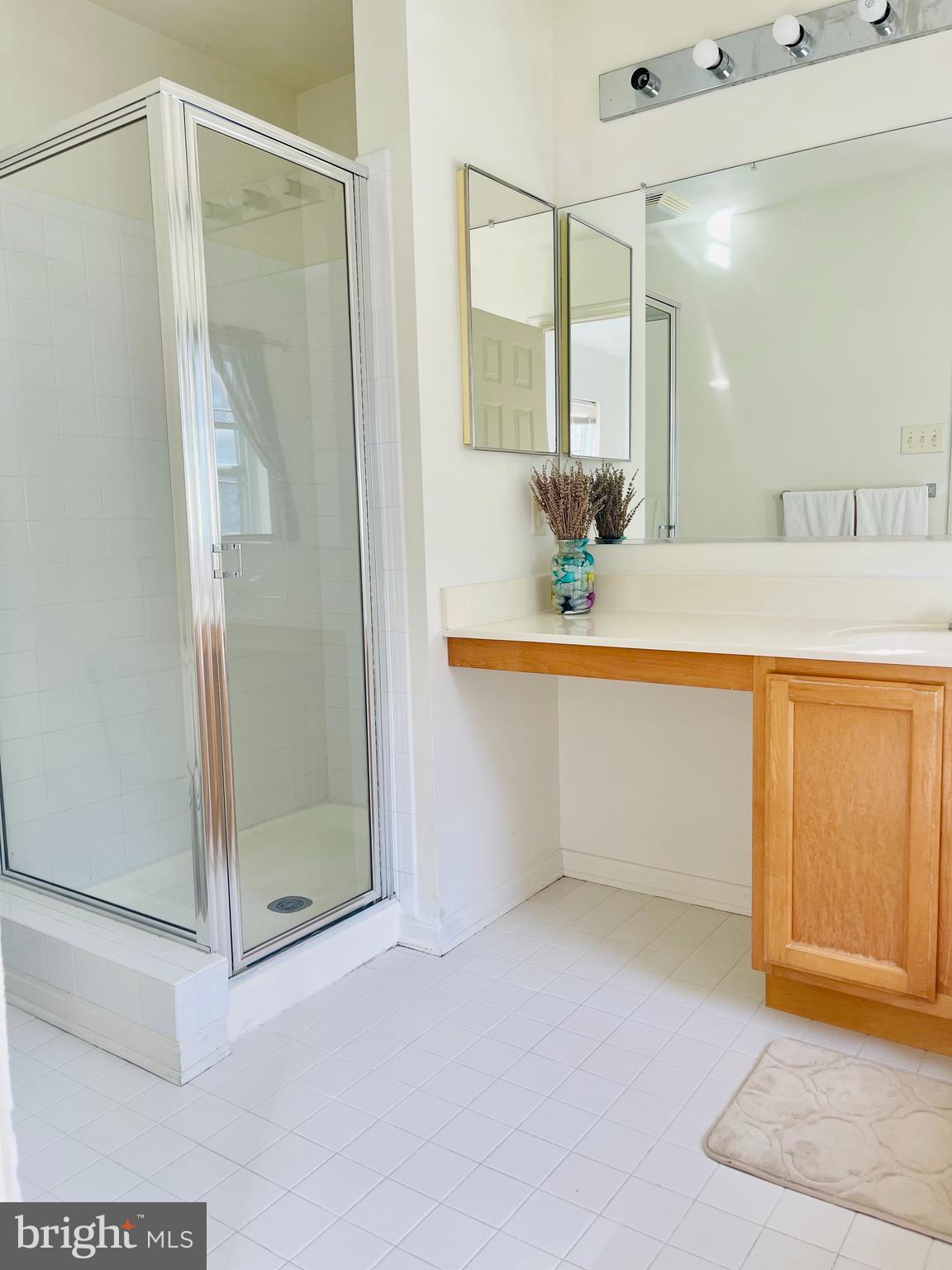 7204 Calm Sunset Columbia, MD 21046 - Photo 32 of 51 Master Bath 3