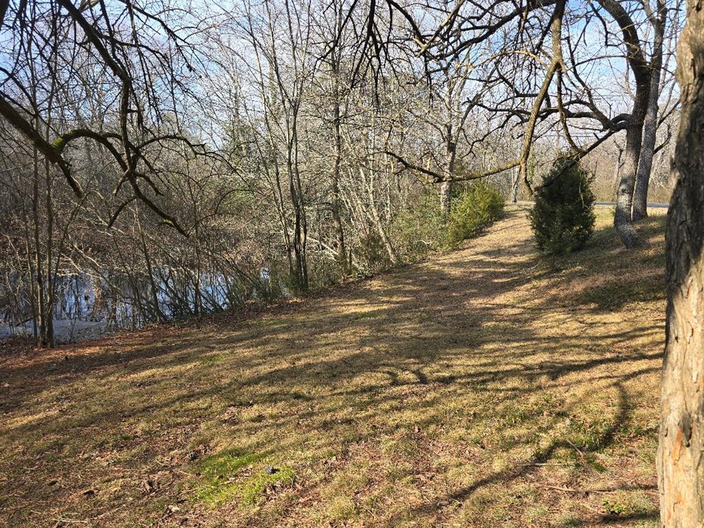 0 Bayside Road, Unit 1 Greenbush, VA 23357 - Photo 3 of 5