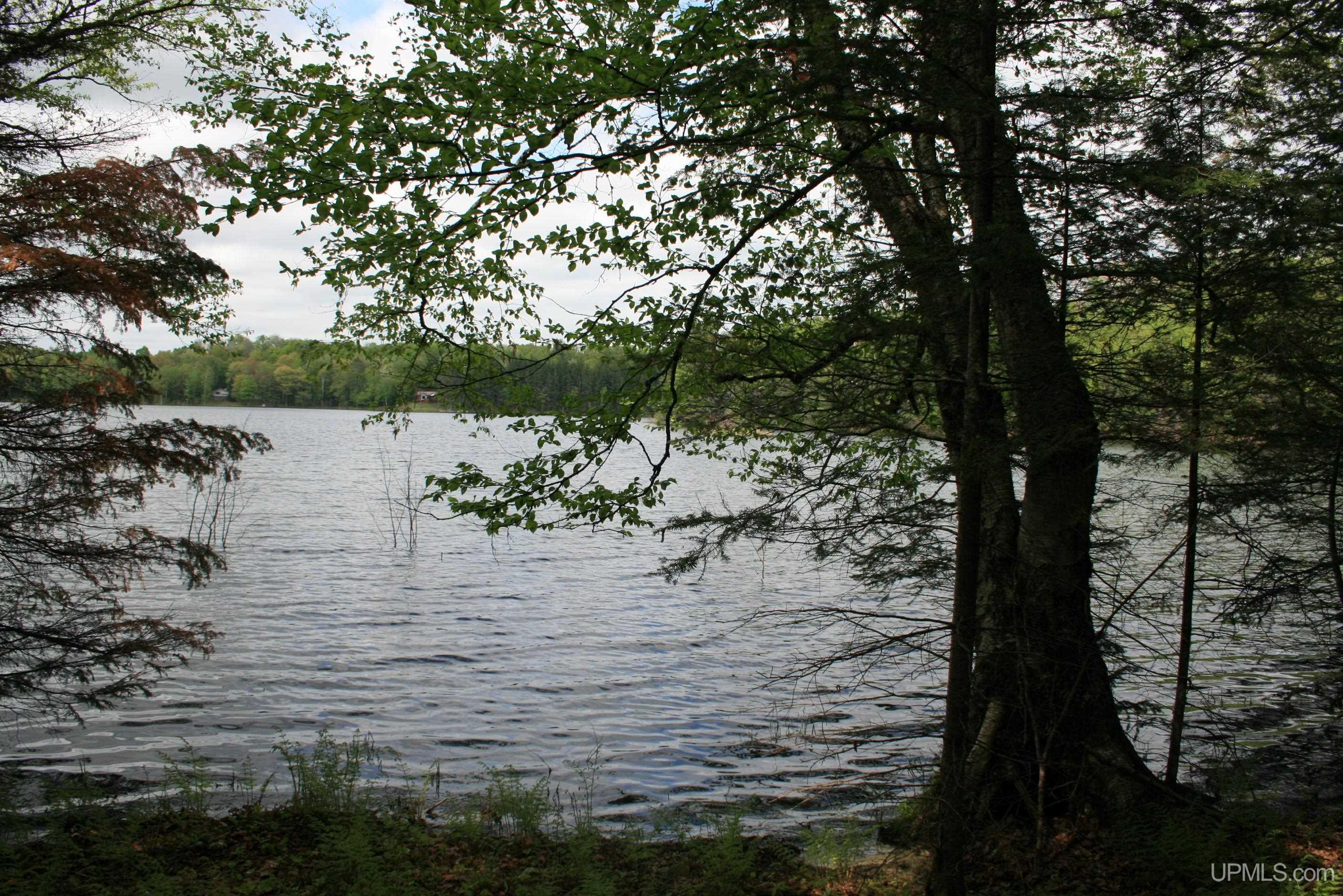 Tbd Sucker Lake Road Watersmeet, MI 49969 - Photo 15 of 24