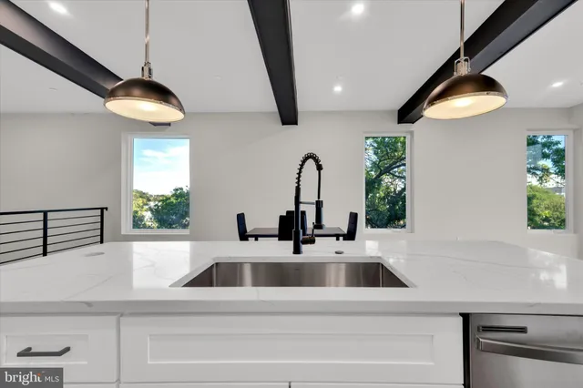 a kitchen with a sink and a potted plant