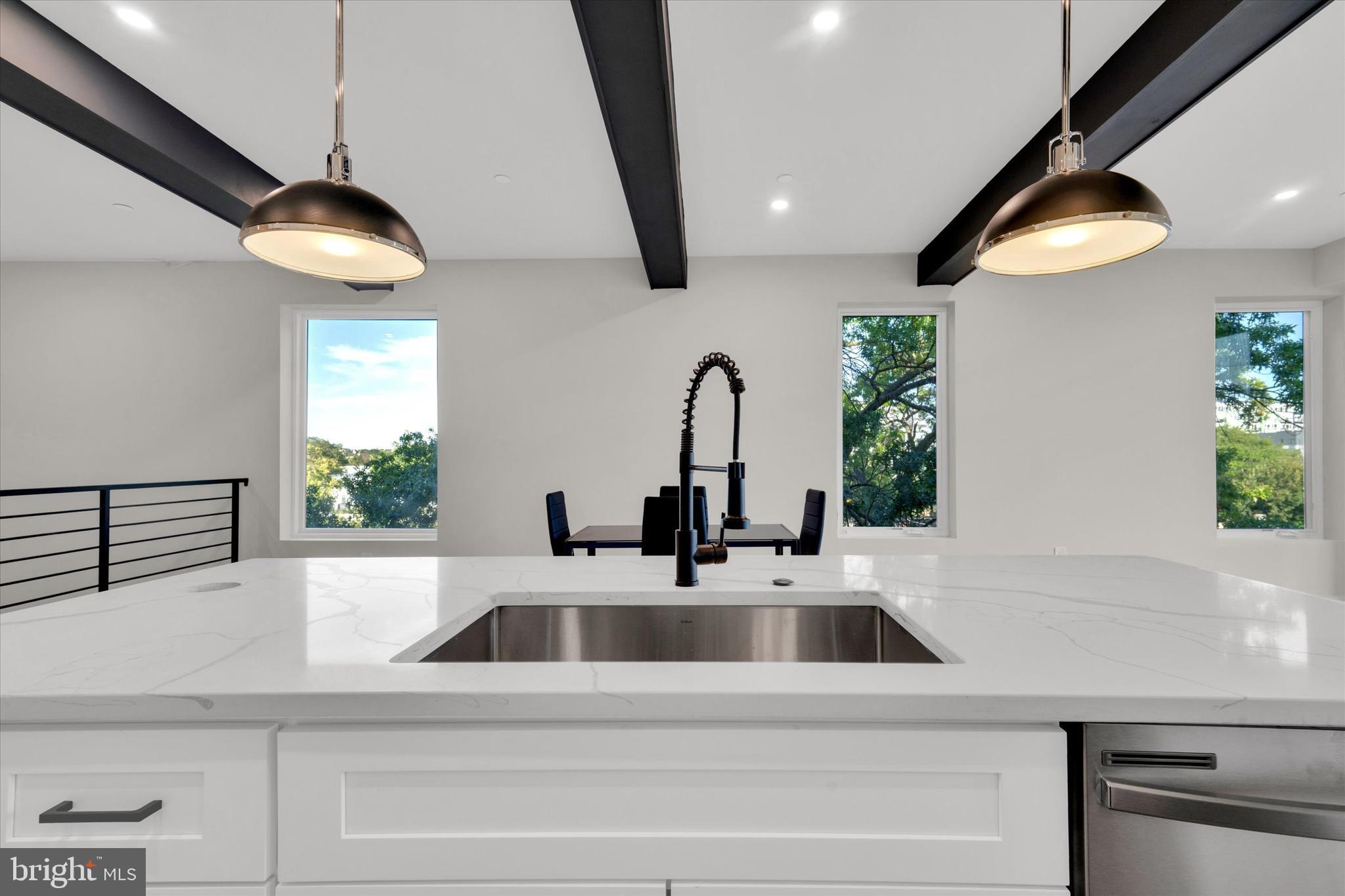1915 Benning Road Northeast, Unit PH9 Washington, DC 20002 - Photo 4 of 20 a kitchen with a sink and a potted plant