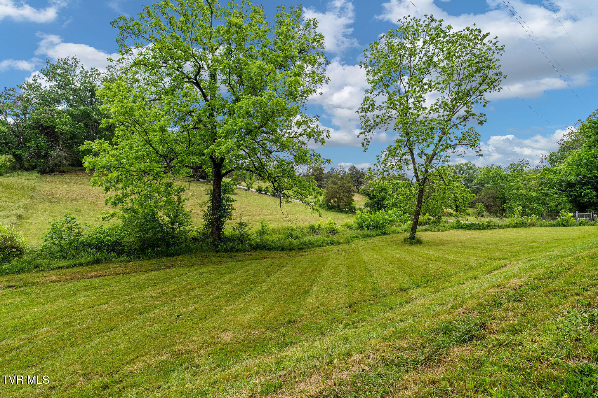 630 Briar Patch Lane Greeneville, TN 37745 - Photo 45 of 50 DSC03874
