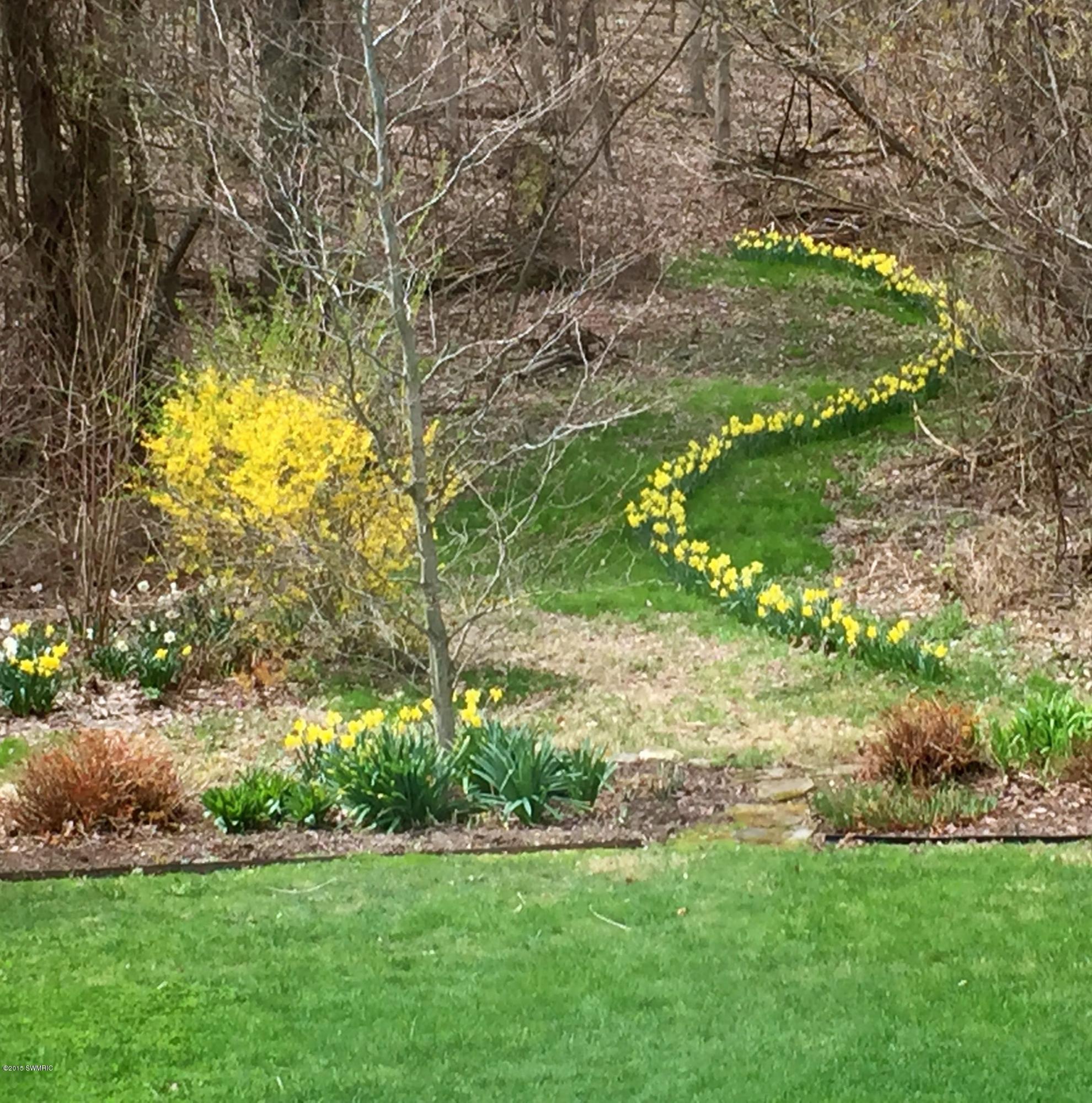 19530 Beaver Dam Road Galien, MI 49113 - Photo 23 of 37 Daffodil Swoosh 2015