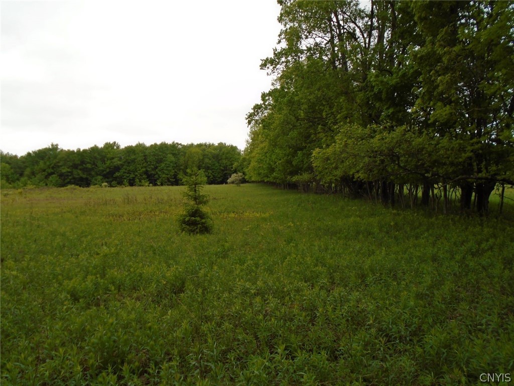 Lot A Pitcher Hill Road Pitcher, NY 13136 - Photo 3 of 13 Gallery Image 3